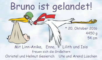 Babyanzeige von Bruno  von Nordwest-Zeitung