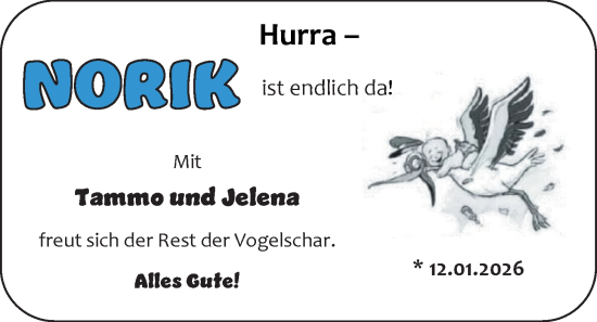 Babyanzeige von Norik  von EZ