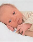 Profilbild Anton Jonas 