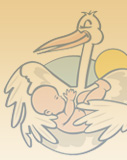 Profilbild Neele Plümer